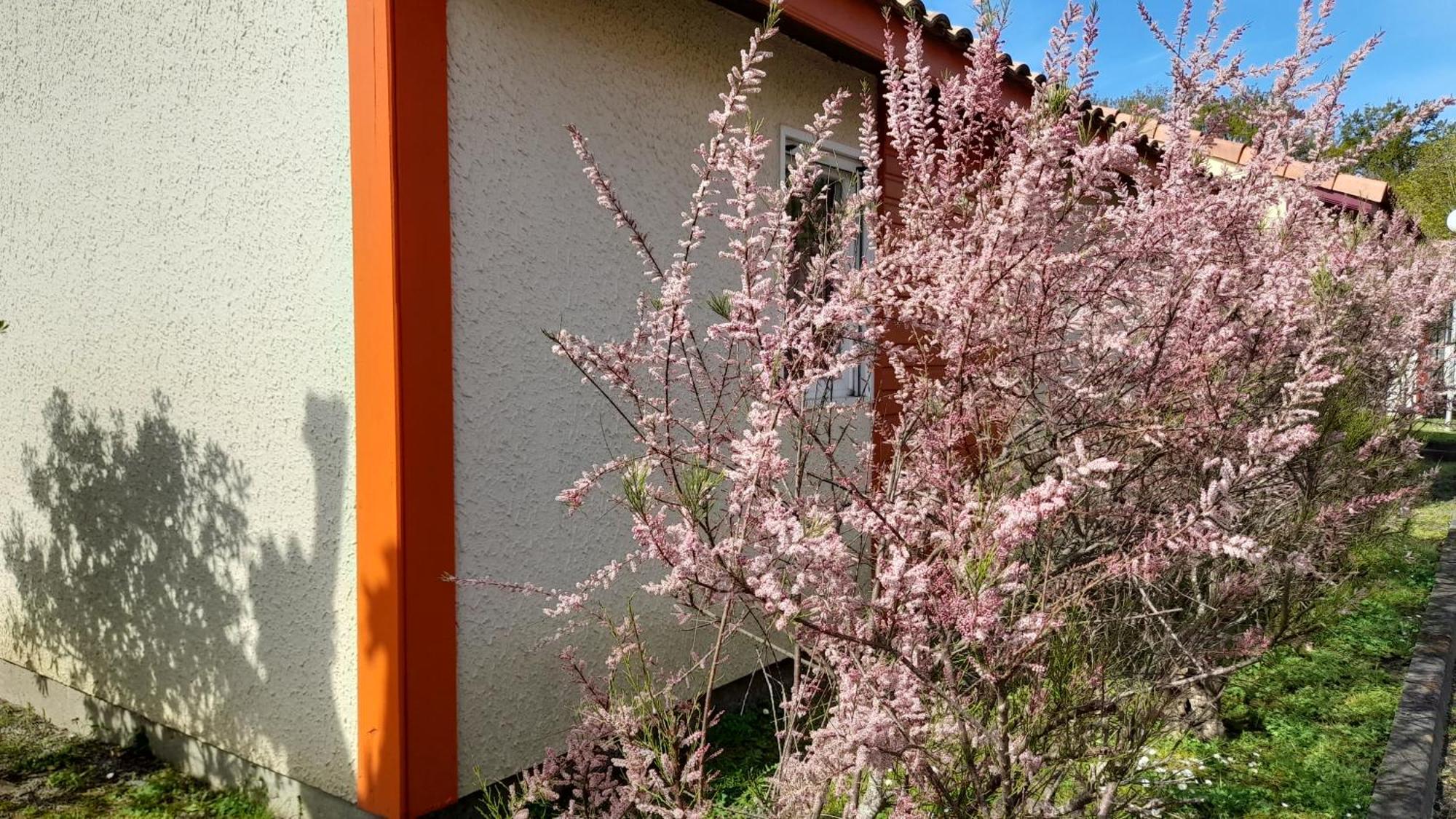 Residence Mes Amours D'Enfants - Les Villas Du Lac スーストン エクステリア 写真